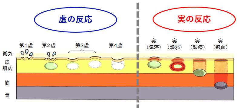 kyojitu